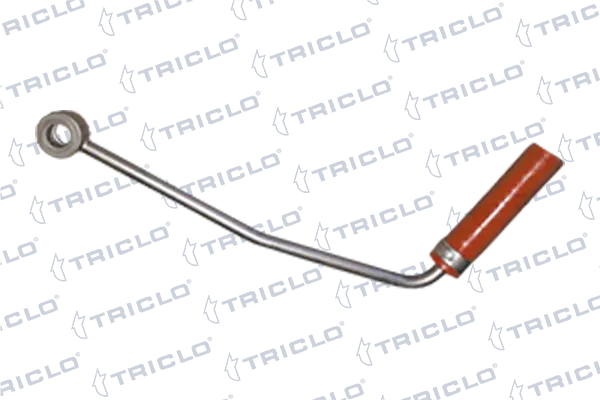 355313 Triclo