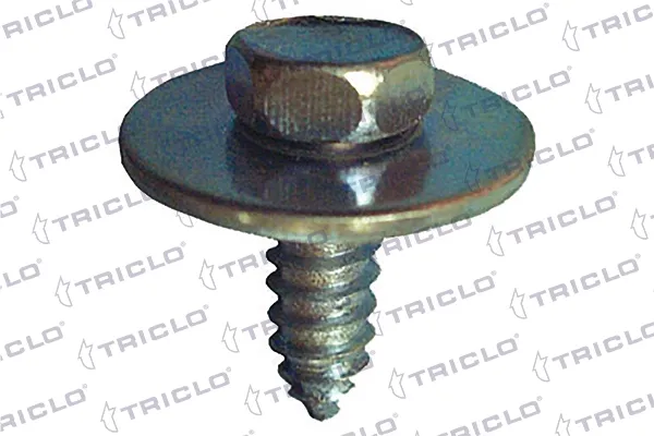  161743 Triclo