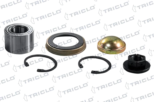 917363 Triclo