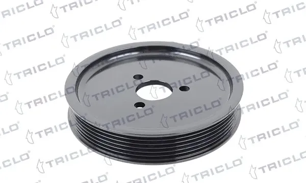 Polea de la bomba de dirección asistida 422369 Triclo