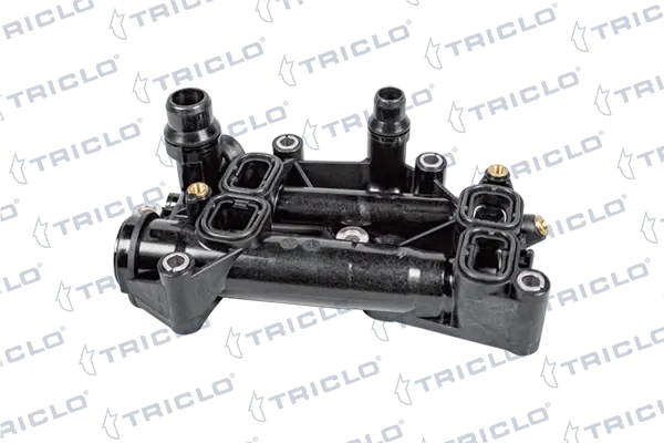 462680 Triclo