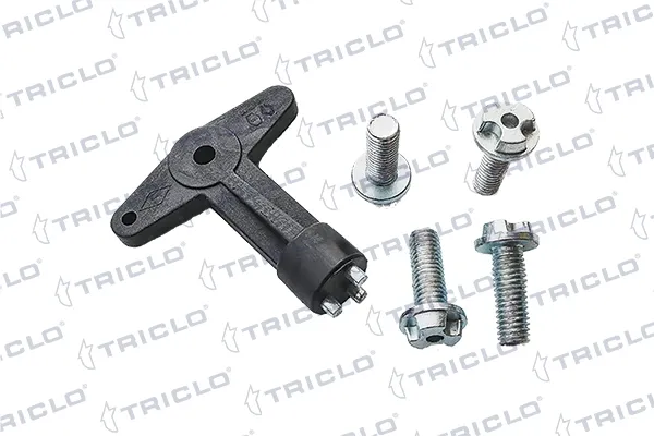 Tornillo de rueda Renault Megane I