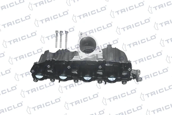 392986 Triclo