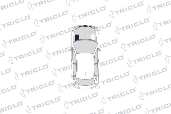 208081 Triclo
