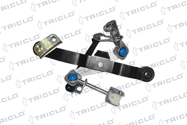 628975 Triclo