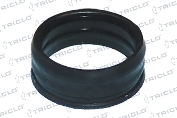 Sello del conducto de la bomba 55185066 Peugeot/Citroen
