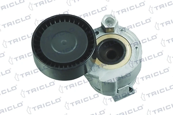 425679 Triclo