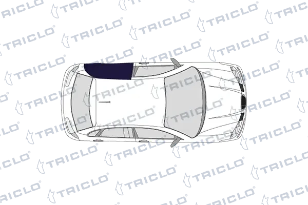 113929 Triclo