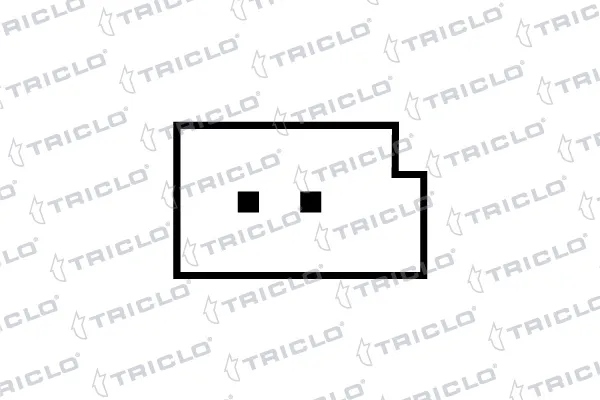 173080 Triclo