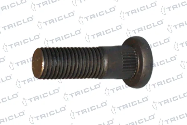 Tornillo de rueda Ford Focus I