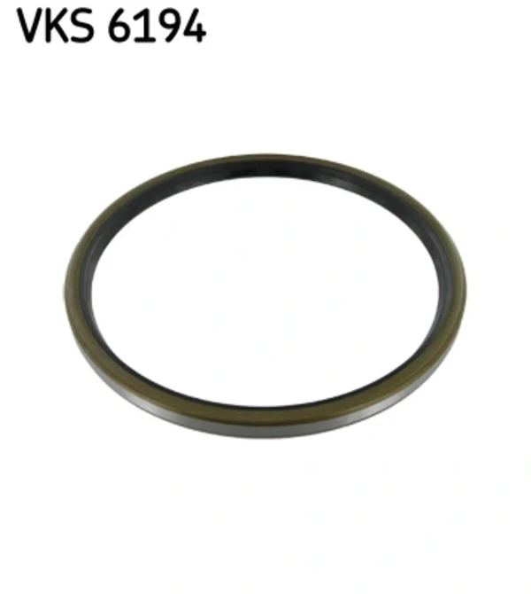 VKS6194 SKF