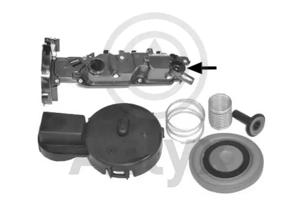 AS-535526 Aslyx tapa de culata