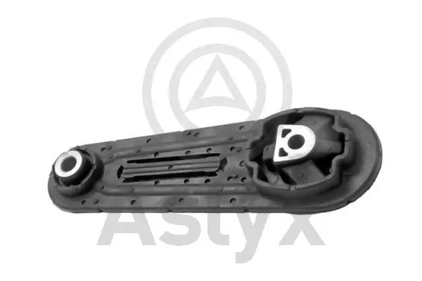 AS202110 Aslyx