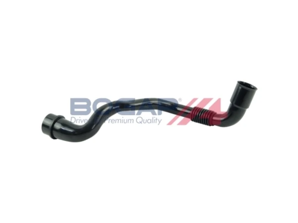 A1210105 Bogap