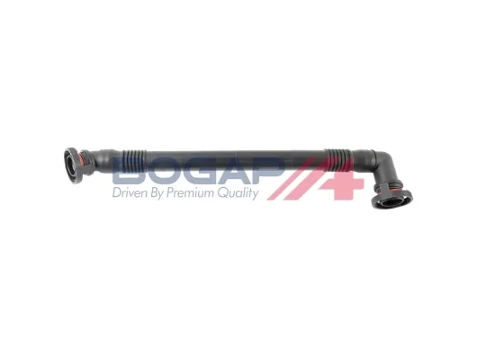 B1210117 Bogap
