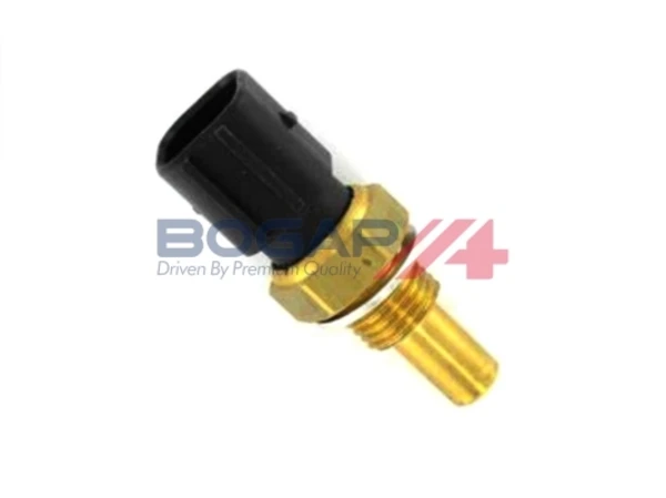 C4126101 Bogap
