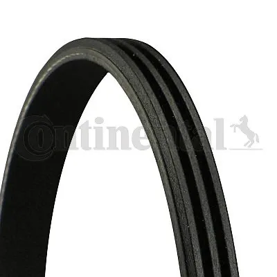 Correa de accesorios CONTINENTAL 3PK915