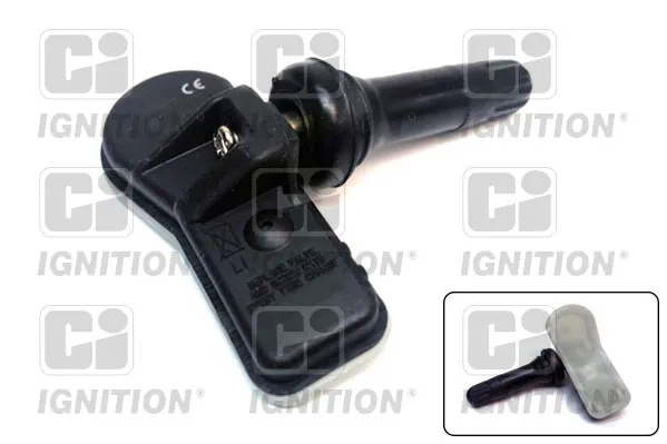 Control de presión de neumáticos Renault Kangoo II