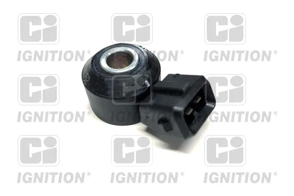 Sensor de detonacion Dacia Lodgy JS