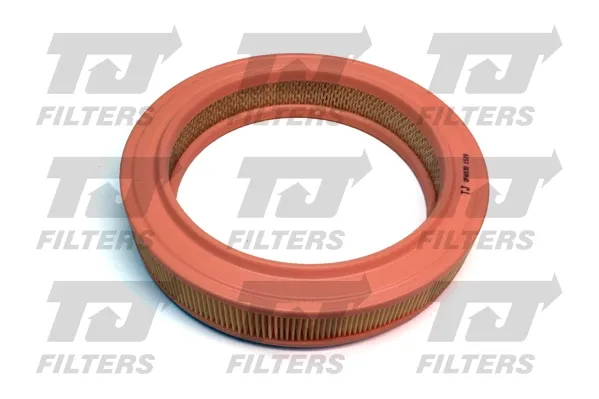 Filtro de aire Ford Fiesta Mk2