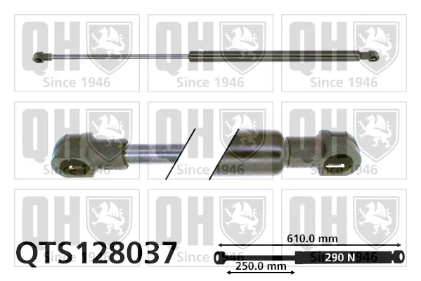 Amortiguador maletero Renault 18 135