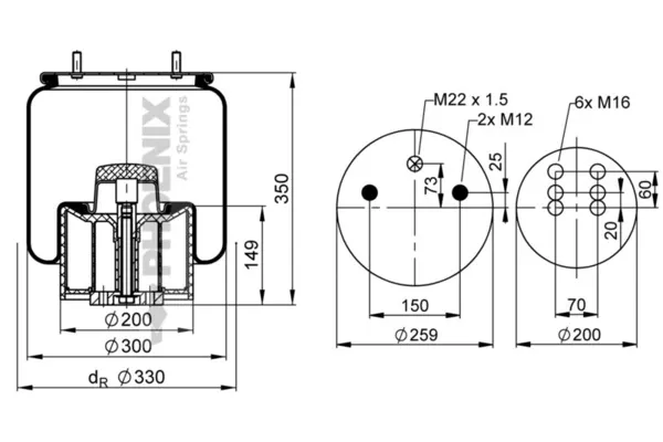 Bolsa neumática del eje 1DK21K2 Phoenix
