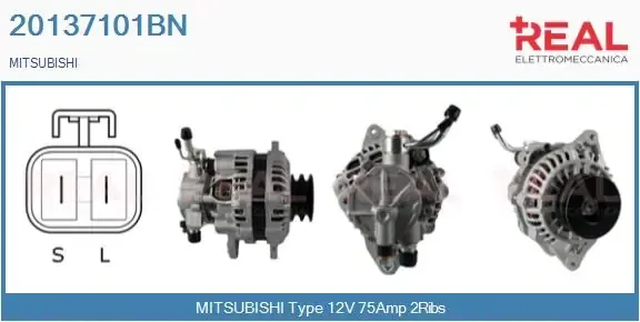 Alternador 20137101BN Real
