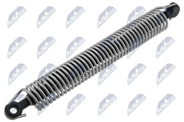 Amortiguador maletero AEBM103 NTY