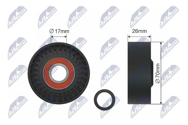 Tensor de correa poli V RNKDW013 NTY