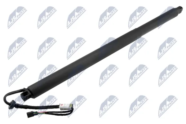 Amortiguador maletero AESK030 NTY