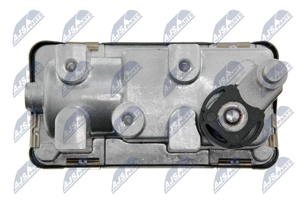 ECDAU002 NTY