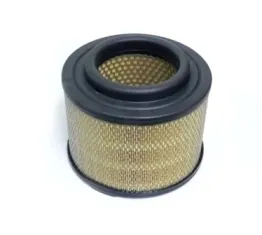 Filtro de aire CA9916 Fram