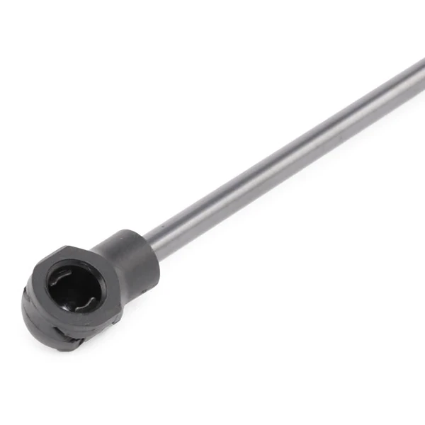 SKGBN0950028 Market (OEM)
