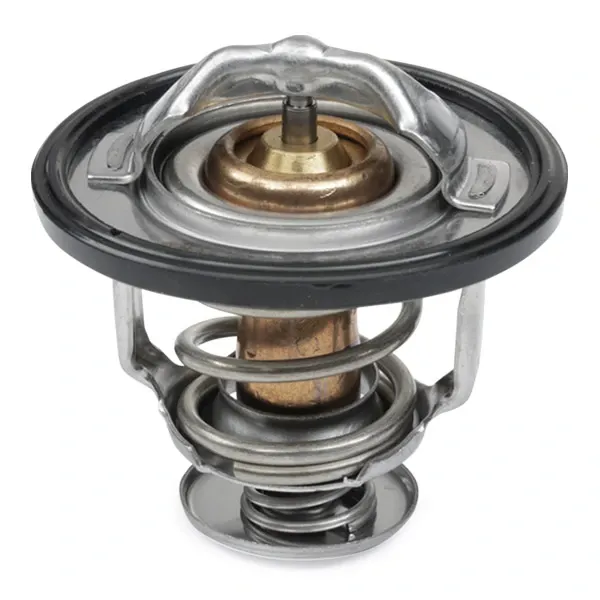 Termostato 316T0046 Ridex