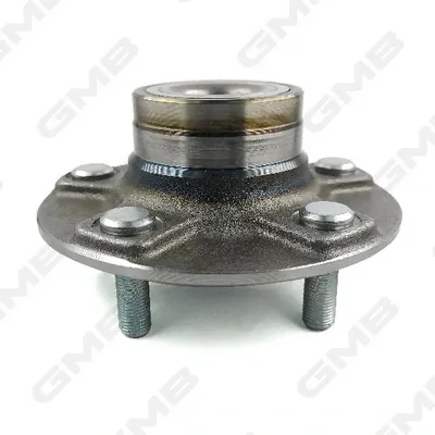 Cubo de rueda trasero GH20200 GMB