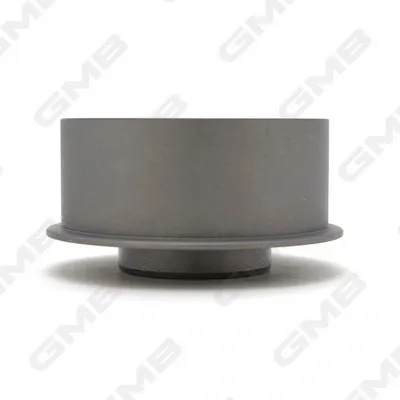 Rodillo, cadena de distribución KIA Carens 1 FJ