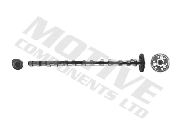 Árbol de levas admisión BMW X5 (E53)