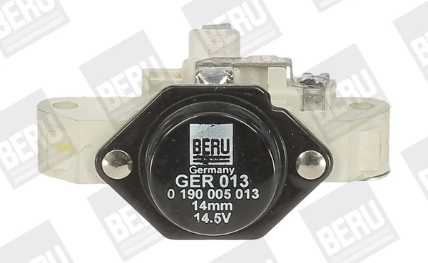 GER013 Beru