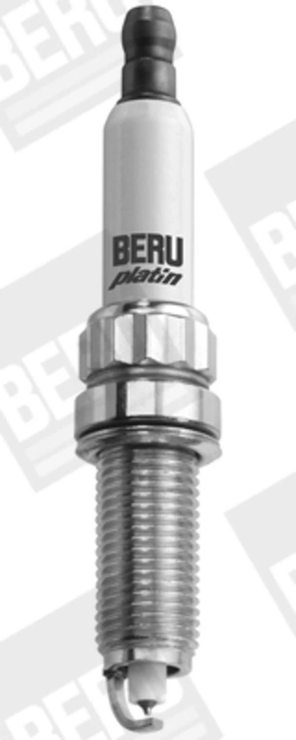 Z288 Beru