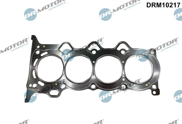 DRM10217 Dr.motor