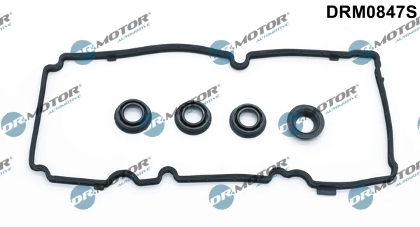 DRM0847S Dr.motor