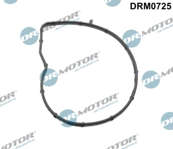 Junta, bomba de agua MINI COUNTRYMAN (R60)