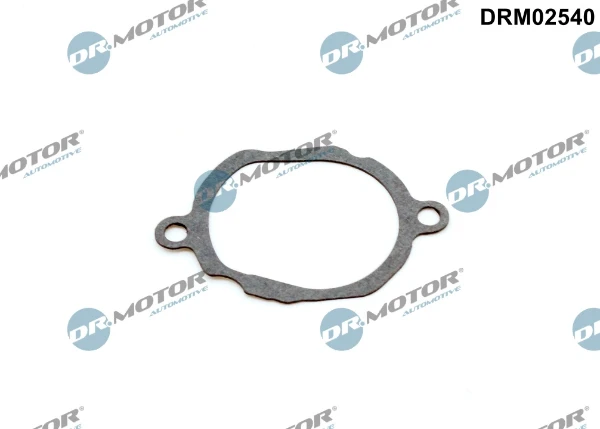 Juntas De La Carcasa De El Termostato Mercedes R (W251)
