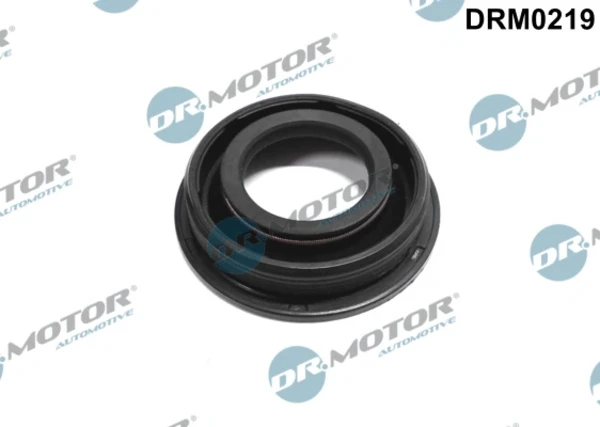 DRM0219 Dr.motor