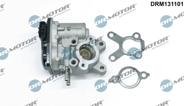 EGR DRM131101 Dr.motor
