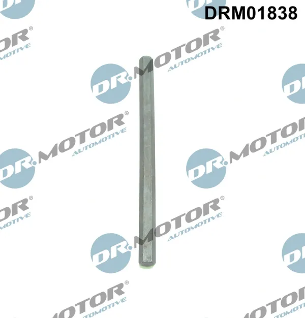Kit reparacion bomba aceite DRM01838 Dr.motor