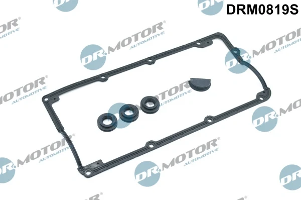DRM0819S Dr.motor