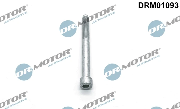 Tornillo, soporte inyector Ford S-Max (CDR)