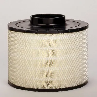 Filtro de aire B125011 Donaldson