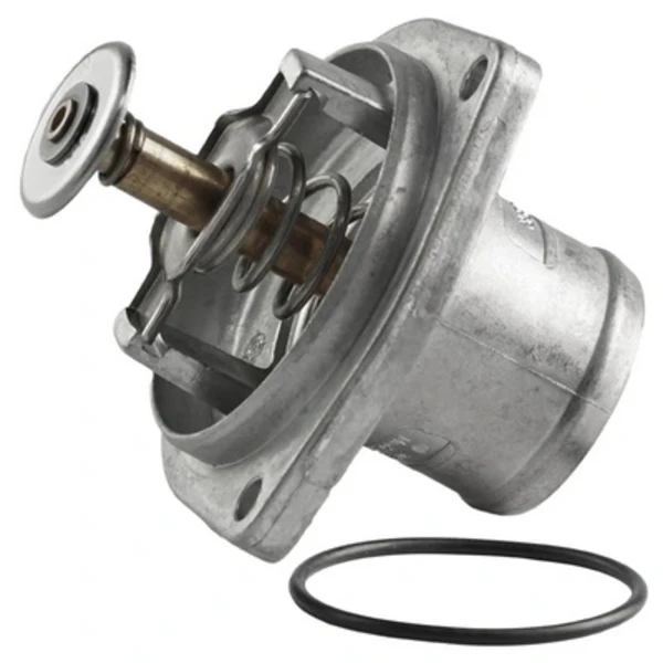 TOPT1106006 Bapmic